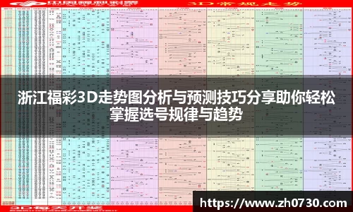 球速体育网站