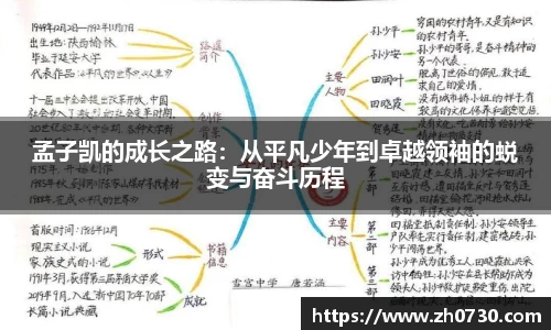 球速体育网站